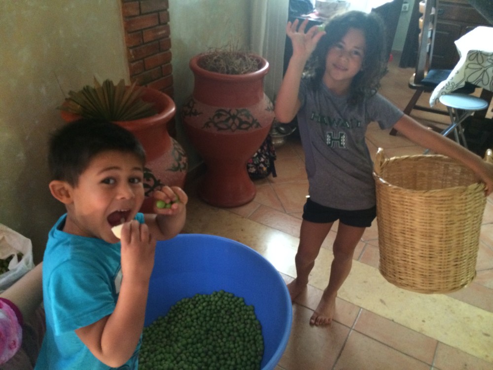 The Simple Art of Curing Olives