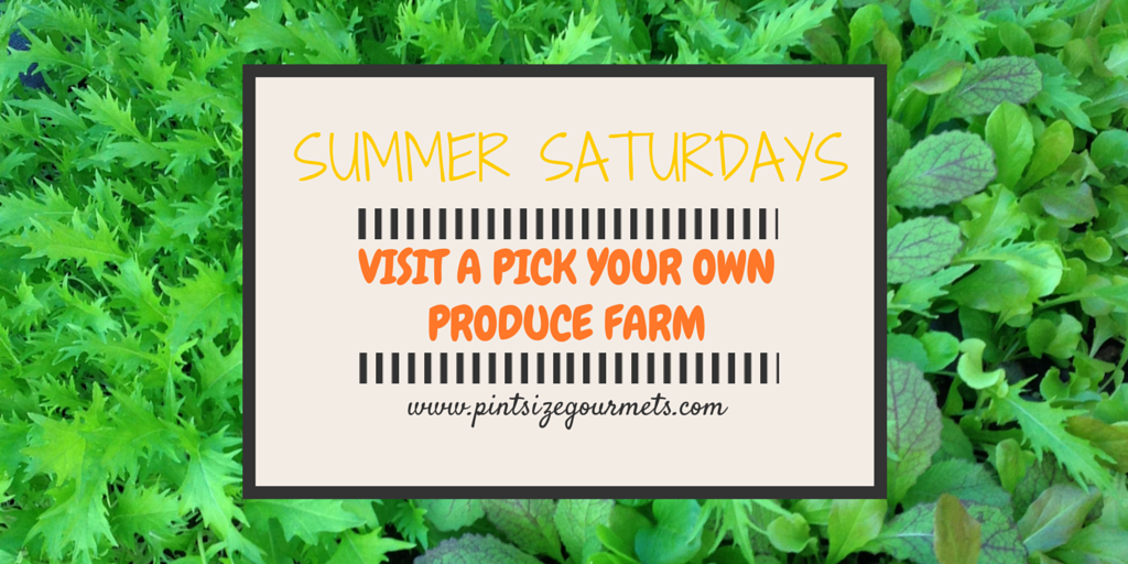 Visit A Pick Your Own Produce Farm