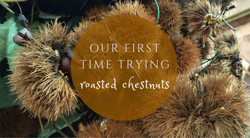 Our First Time Trying Roasted Chestnuts