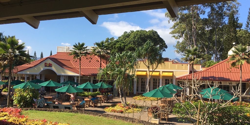 Dole Plantation: The World’s Largest Maze