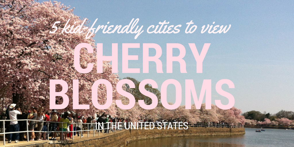 5 Kid-Friendly Cities to View Cherry Blossoms in the United States