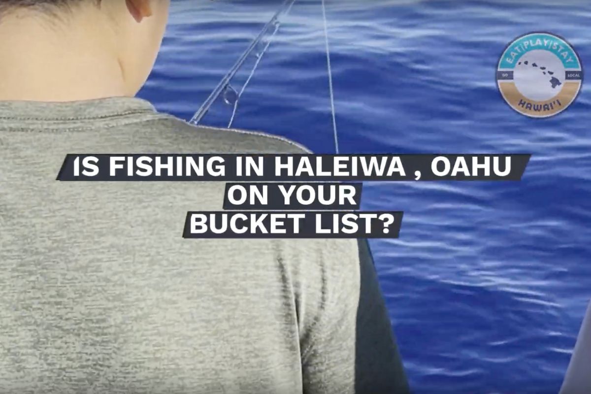 Fishing with the Family in Haleiwa, Oahu